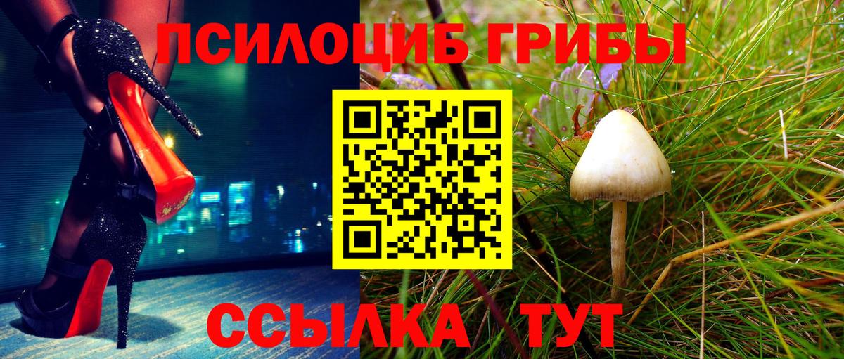 Псилоцибиновые грибы прущие грибы Егорьевск
